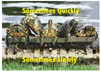 Sometimes Quickly